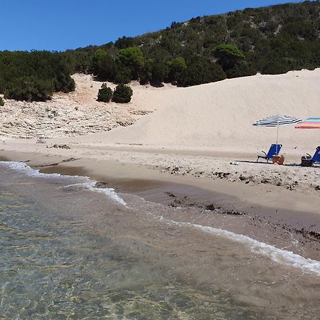 Villa Dunes 350M From The Sandy Beach Kalogria  Exteriör bild
