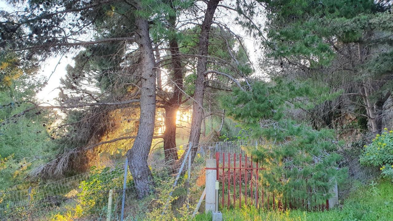 Villa Dunes 350M From The Sandy Beach Kalogria  Exteriör bild